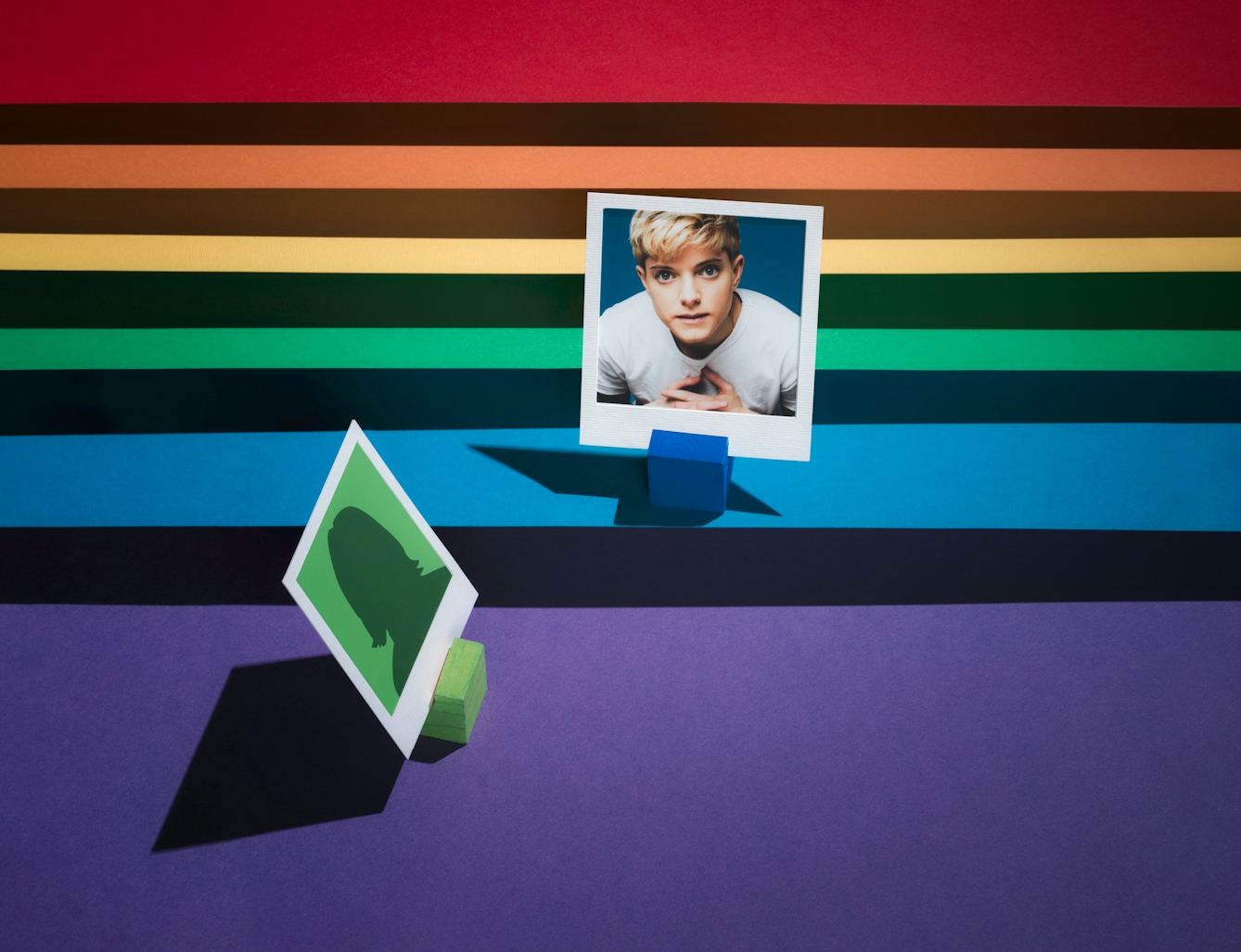 Photograph of a tiered set made up of the LGBTQ+ colours of red, orange, yellow, green, blue and purple.  The tiers form a horizontal line.  On the first tier, the blue one, the portrait of a woman against a blue background is framed in a small white frame.  Below this image, to the left, an anonymous figure on a green background is facing towards her.