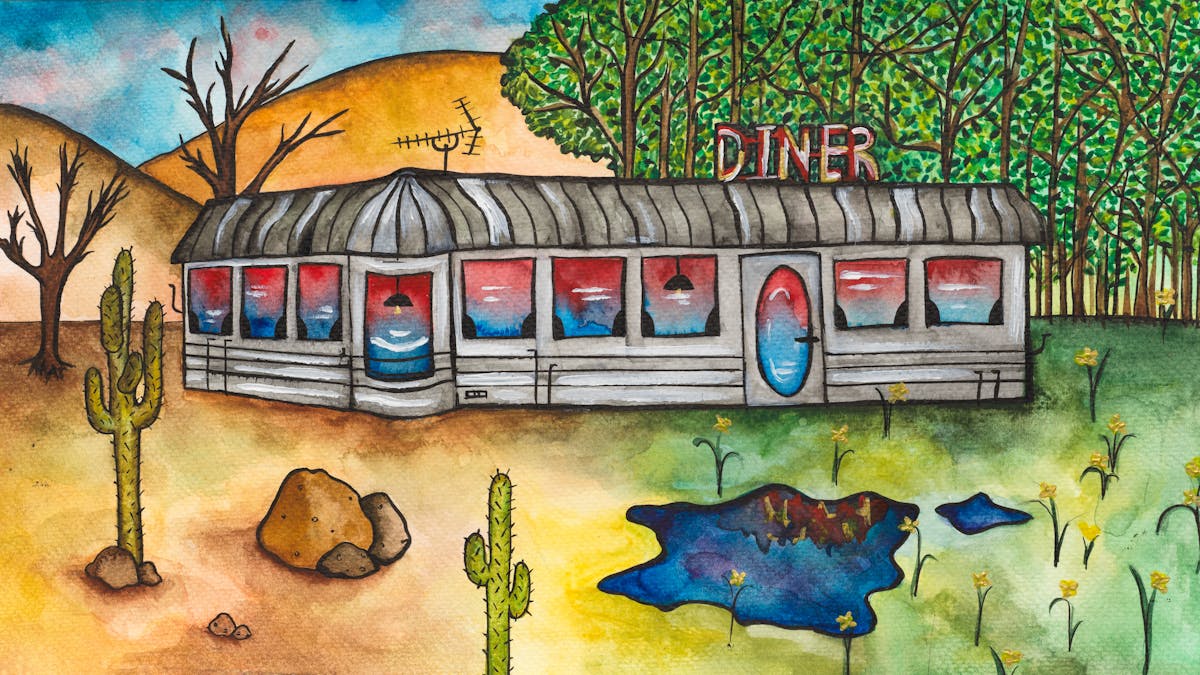 Colourful artwork. The artwork shows a grey building with a sign reading 'Diner' attached to the roof. There is also an aerial on the building roof. On the right side of the scene there is a woodland and the grass is green with flowers growing and a small pond. Immediately to the left of this, the ground is brown with rocks, cacti and trees with bare branches. Above these are several hills.