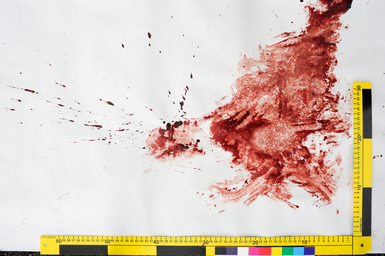 Photograph of a blood spatter on a white surface with forensic crime scene rulers and colour patches.