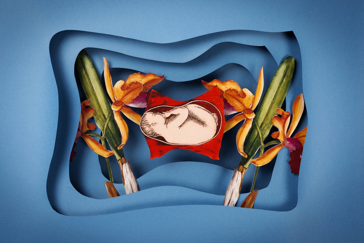 A photograph of a paper craft montage of archive material. An unborn baby is shown floating over two large orange orchids against a blue background that has concentric shadows.