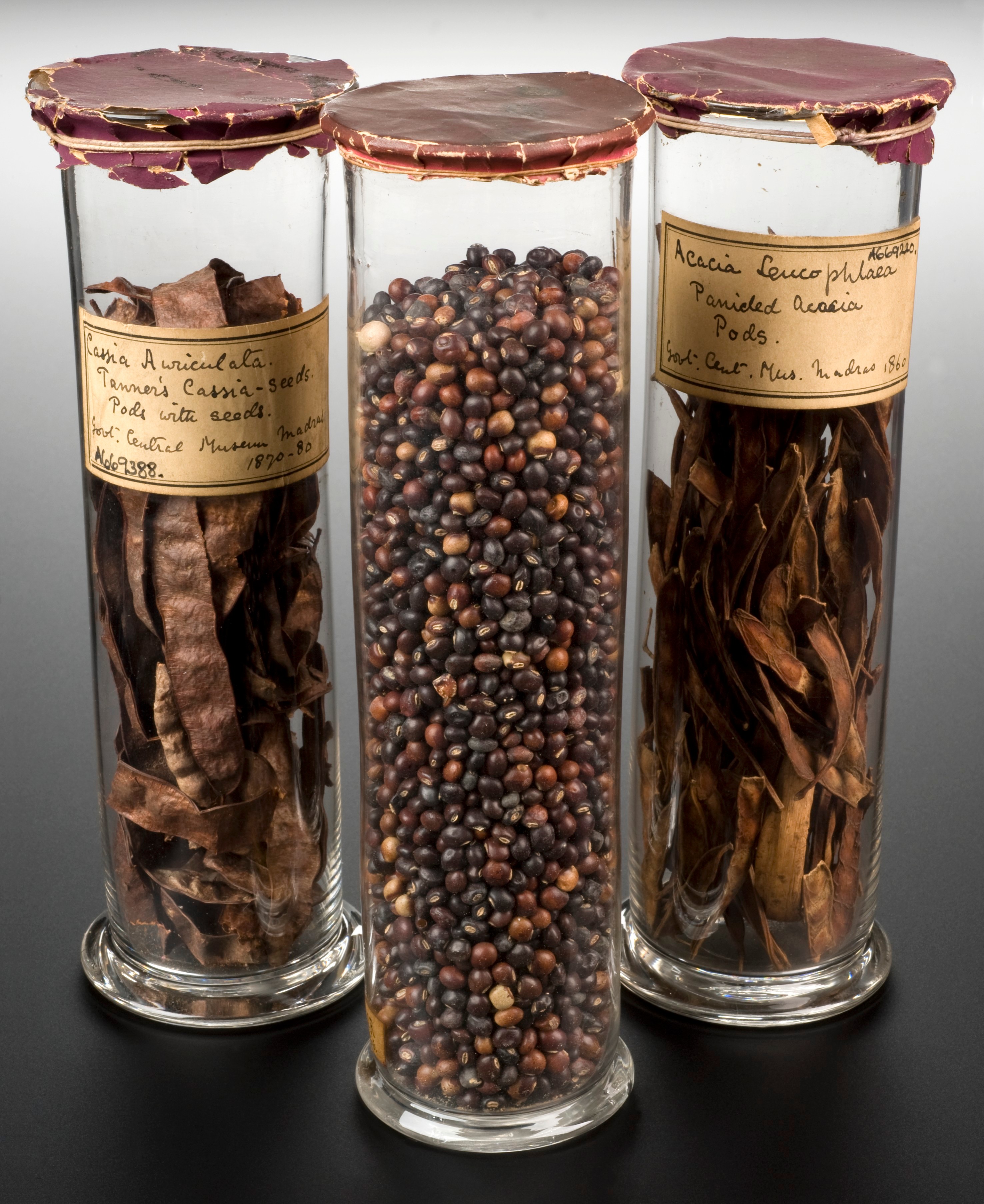 The aphrodisiac apothecary Wellcome Collection