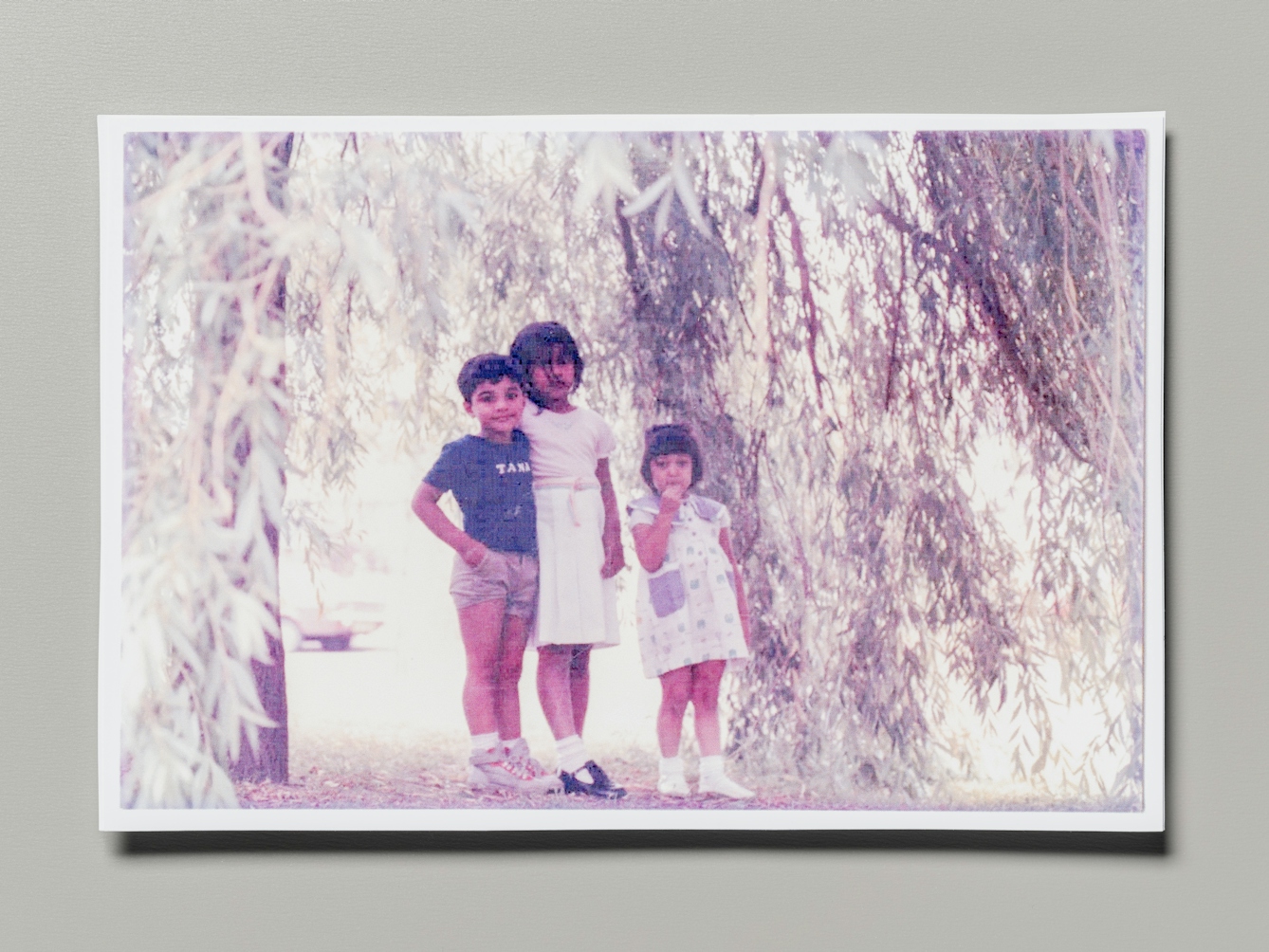 Photograph of a family photographic print resting on a grey background. The photo shows a group of three young children standing side by side under the drooping branches of a weeping willow tree. They are all looking to camera.