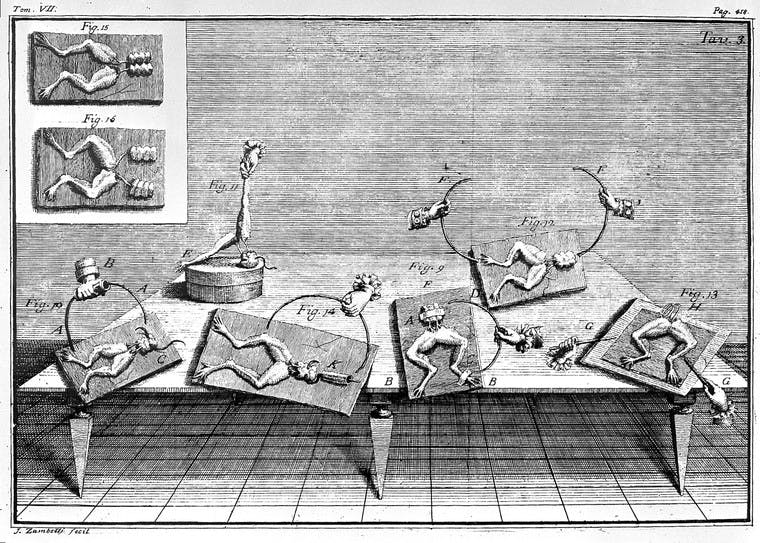Etching of frog's legs on a table with disembodied hands holding curved rods above them.