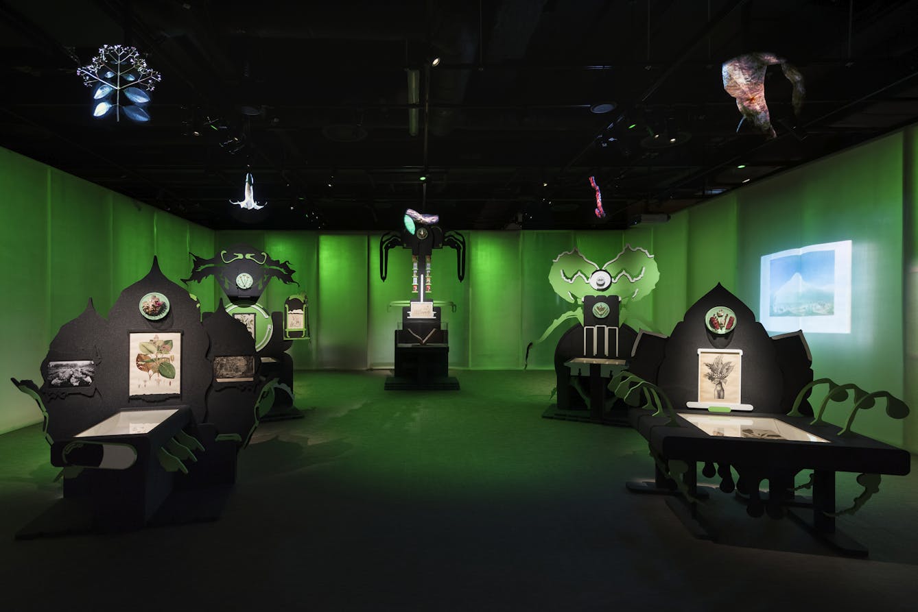Photograph of five black stations with plant-like shapes, each of which displays plant artworks and specimens, and has holograms above. 