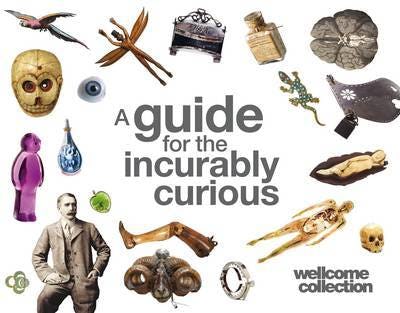 Book cover of A Guide for the Incurably Curious by Marek Kohn