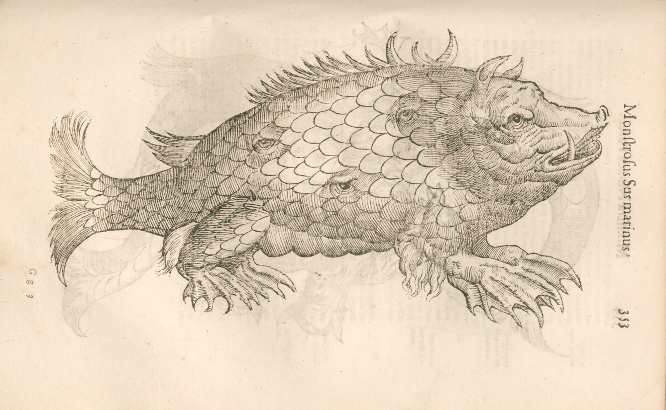 Etching of an animal that appears to be part fish (with scales, tail, fins) and part hog (with snout, ears, tusk). There are also three eyes randomly placed across its torso.