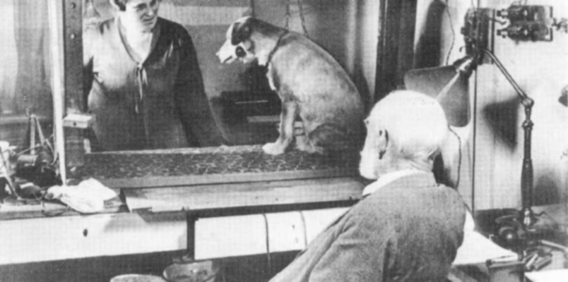A man and a woman in a laboratory look at a dog.