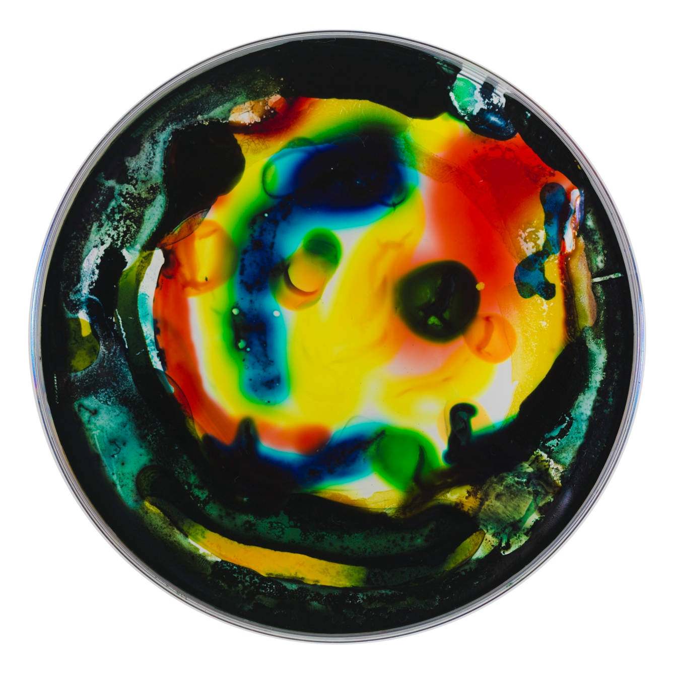 Photograph of a petri dish containing colourful swirls red, blue, green and black, made from ink, watercolour, pva and resin.