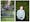Photographic diptych. The image on the left shows a garden scene with a large trampoline surrounded by grass and trees. On the trampoline is a young girl who has been photographed mid jump, high in the air. She has a broad smile on her face. The image on the right shows the same young girl stood in front of the green foliage of a fir tree, from the waist up. She is smiling and look off to camera right, her fingertips loosely clasps together across the front of her body.