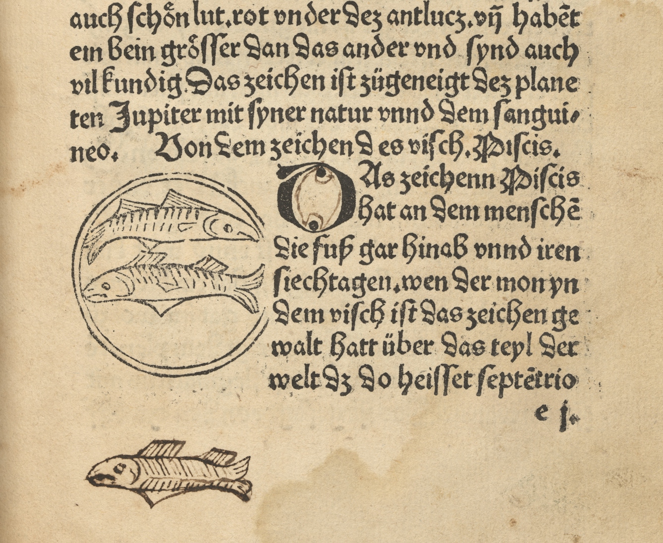 Photograph of a page from an early printed book where a previous owner has had a go at copying an illustration of a fish.