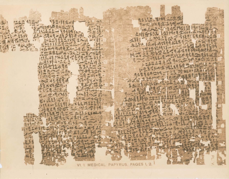 Picture of the Kahun Gynaecological Papyrus, a papyrus document with hieroglyphs.