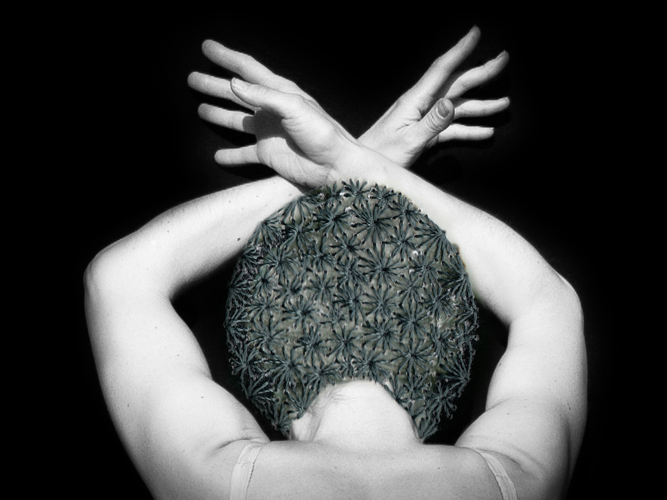 Artwork made up of a black and white photograph of a female figure from behind, against a black background. Her arms are held above her head and her wrists cross, fingers extended. Embroidered into the photographic print with grey thread is a crisscross floral pattern which exactly covers her head and hair. 