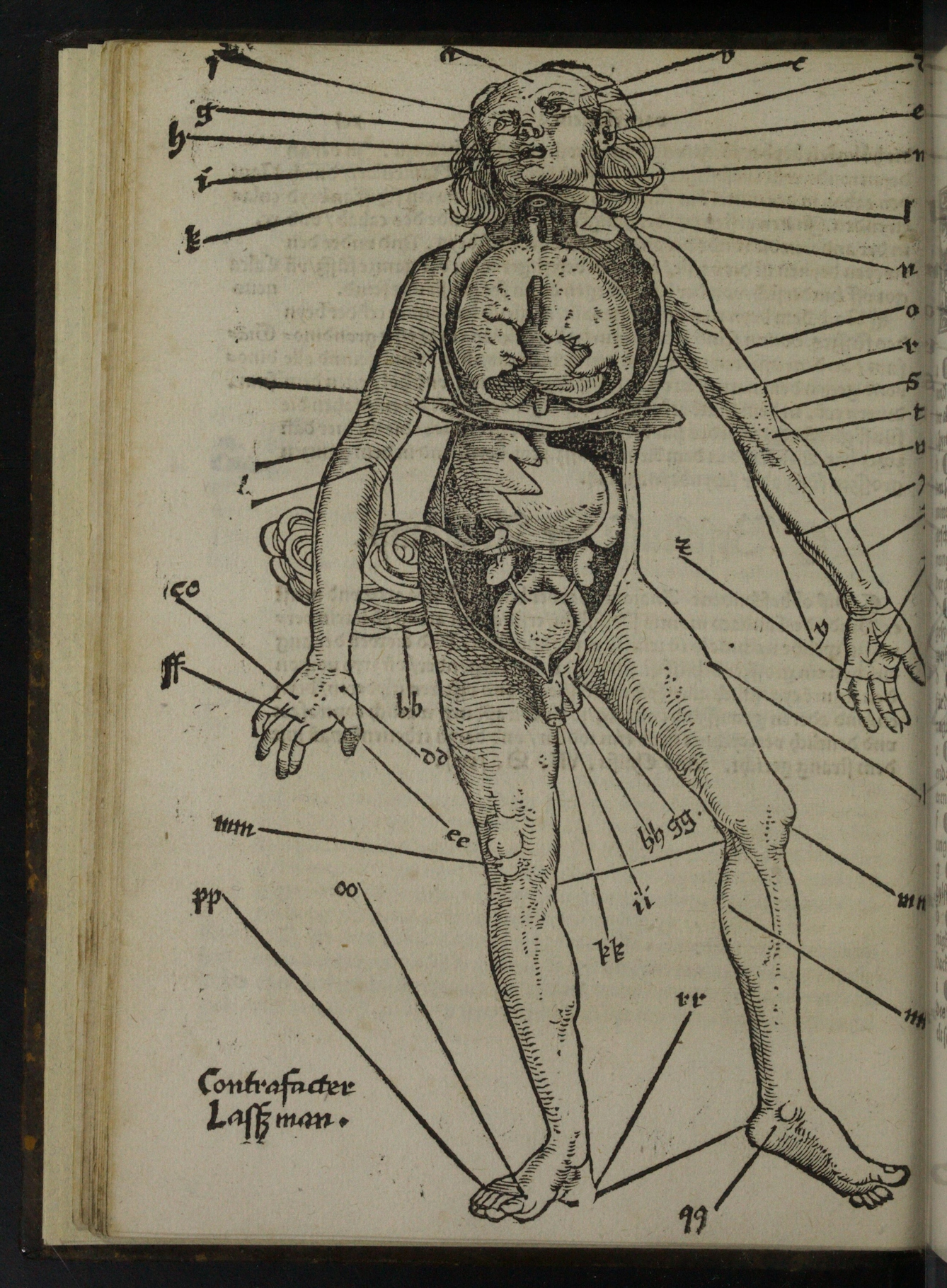 Black-and-white woodcut on a slightly yellowed page showing a naked male body, covered with lines labelled with letters and pointing to different body parts where someone could be bled. The body is cut open on the trunk to reveal some of the major organs. 