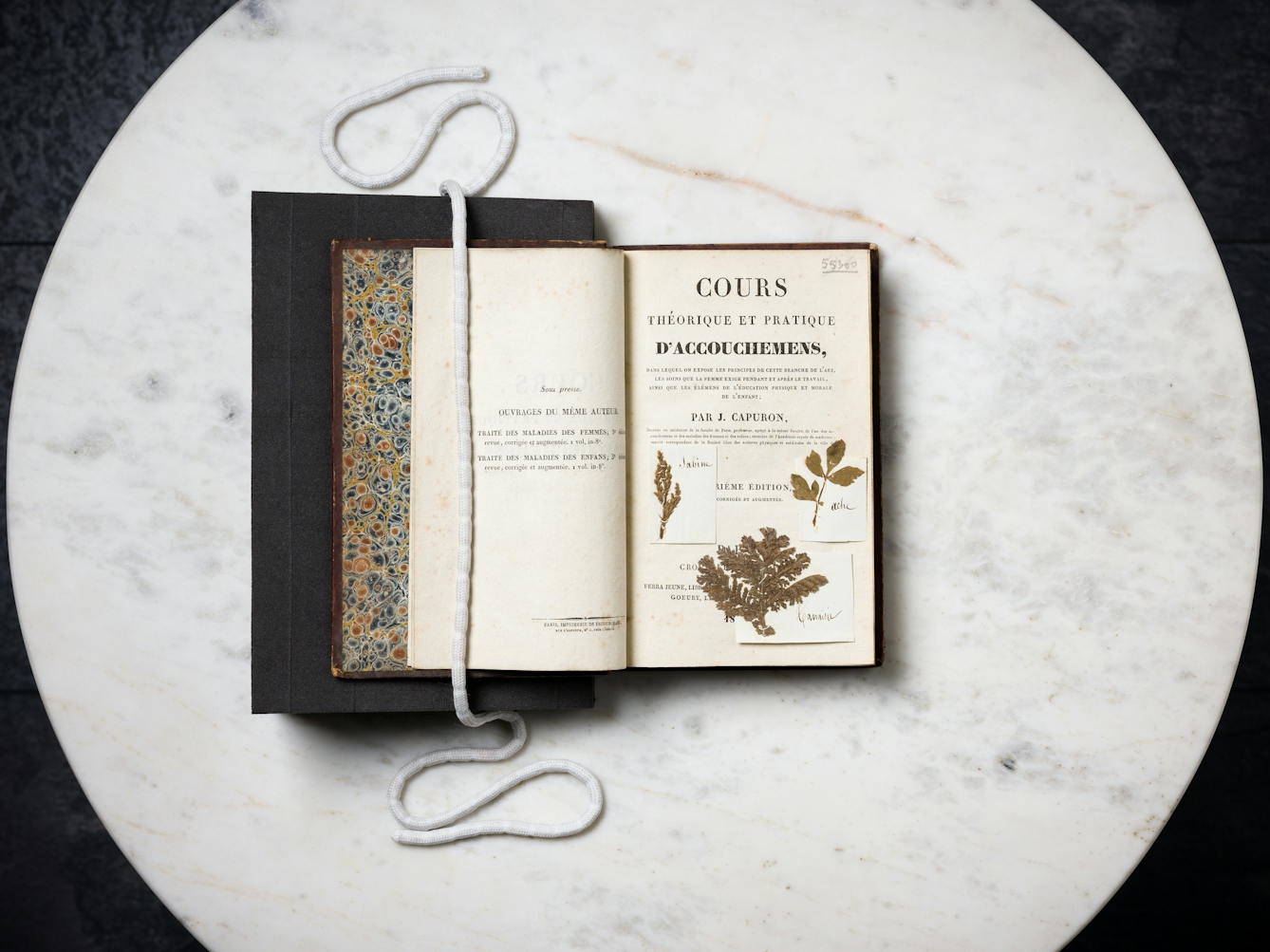 An old book propped open on a marble tabletop, with three pressed plant specimens inside.