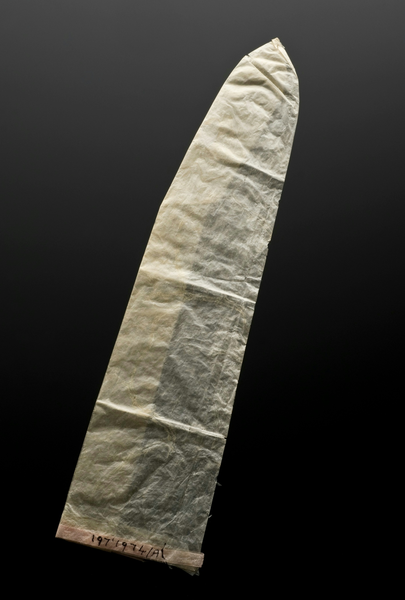 Photograph of a condom, England, 1901-1930, made of animal gut membrane, known as caecal, on a black background.