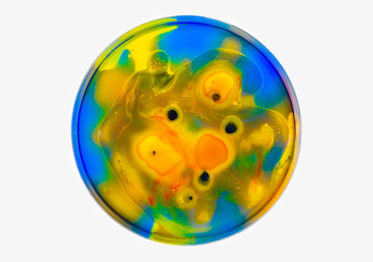 Photograph of a petri dish containing colourful swirls of blue, yellow, orange and black spots, made from ink, watercolour, pva and resin.