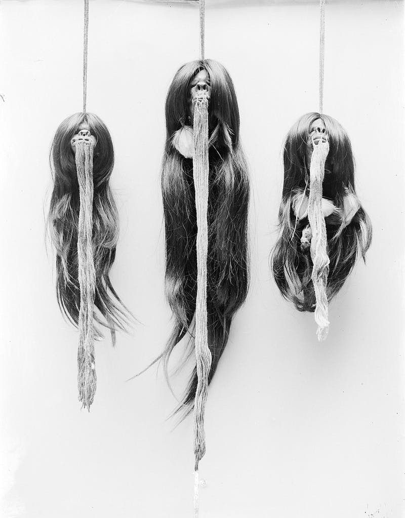 Image of three shrunken heads with strings from mouth, hanging on ropes