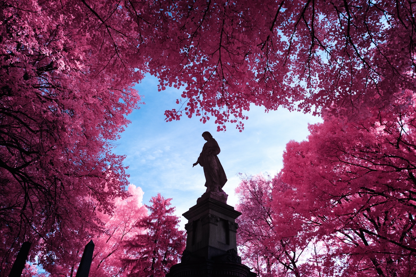 Infrared photograph of a statue framed against the sky and surrounded by pink trees, a result of the infrared style. The statue has its hand with it's palm facing upwards.The pink hues replacing the greens of the grass and trees are a result of the infrared technique.