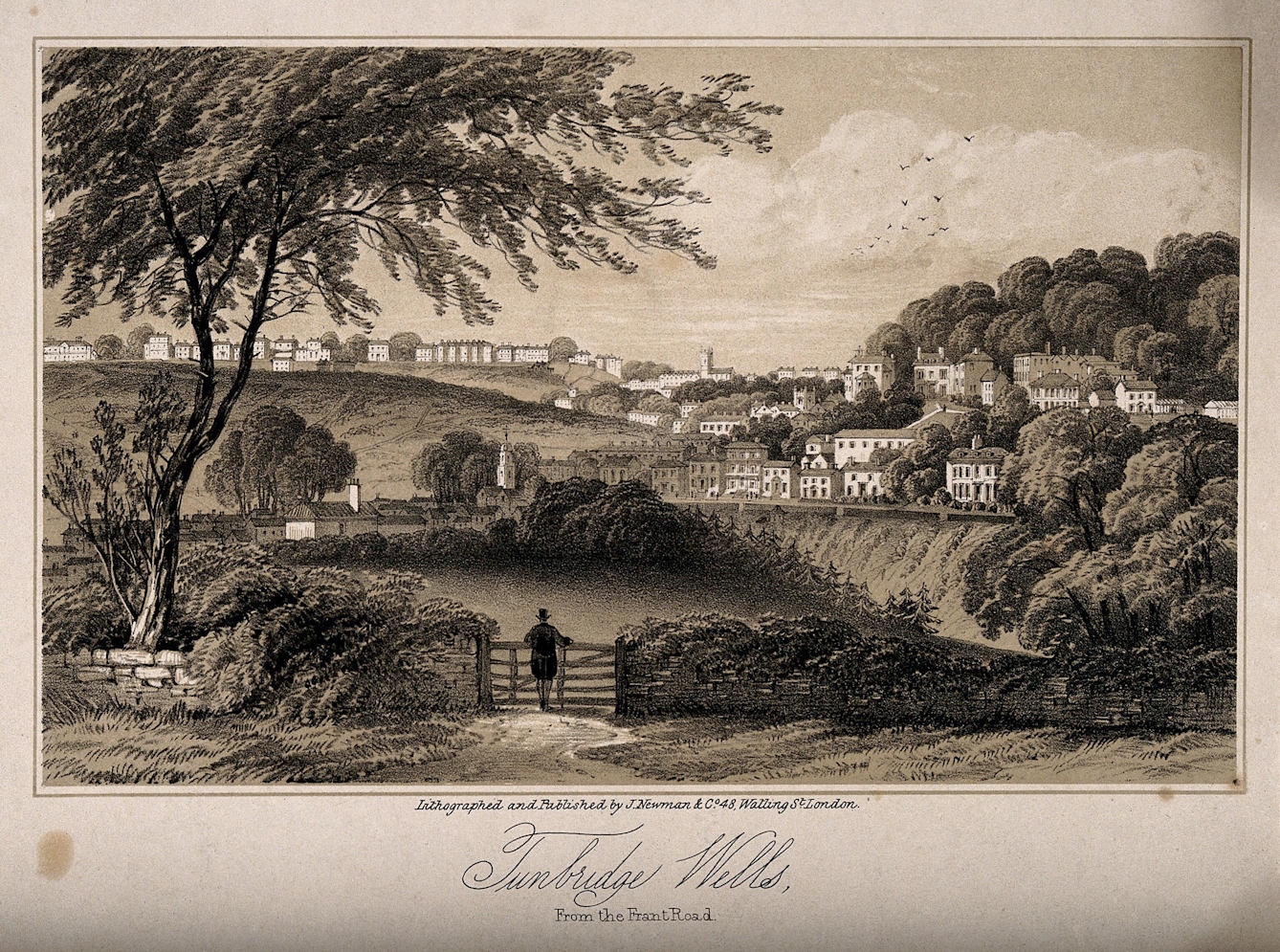 Tinted lithograph showing a panoramic view from Frant Road in Tunbridge Wells, Kent. In the foreground there is a man wearing a top hat, standing in front of a wooden gate. He is looking on to a view of trees and houses. 


