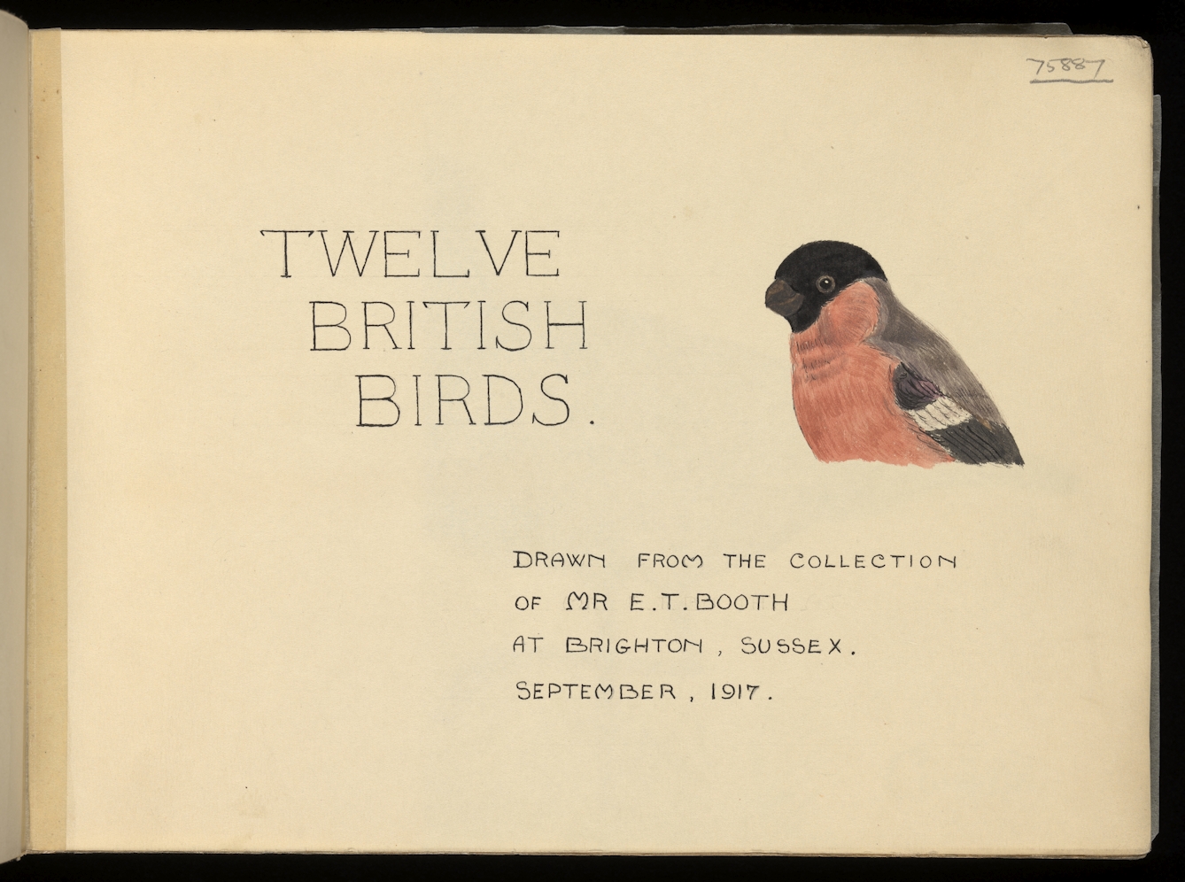 Photograph of a page from a handwritten and illustrated book, titled 'Twelve British birds. Drawn from the Collection of Mr. E. T. Booth at Brighton, Sussex. September 1917'. The image shows the main title page along with a watercolour painting of a small bird with a red chest, black cap, grey wings with a fleck of white.
