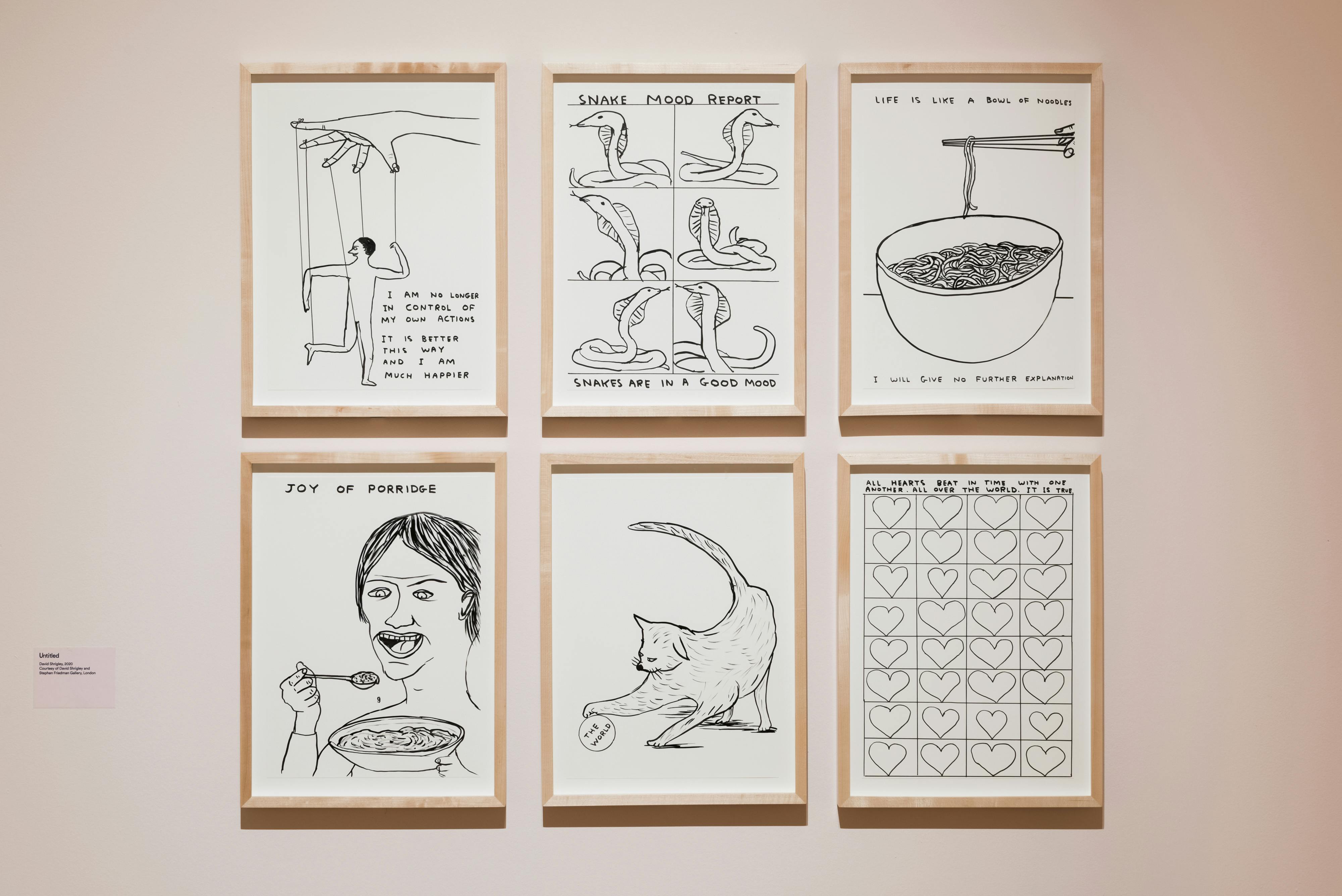 Joy Wellcome Collection Joy Wellcome Collection