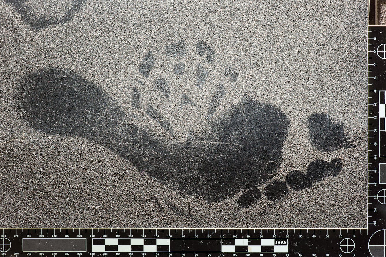 Photograph of a bare footprint and shoe print on a dusty surface. The image contains a ruler for scale.