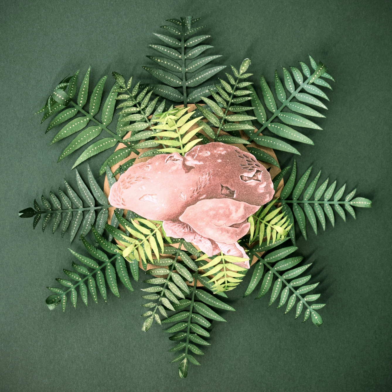 Colourful papercut artwork with many separate elements on different levels creating a scene with depth, perspective and shadows. The scene shows a green background on which a star shaped fern is growing, the green leaves extending out in all directions. In the centre of the fern is a pink tinted drawing of a human liver.