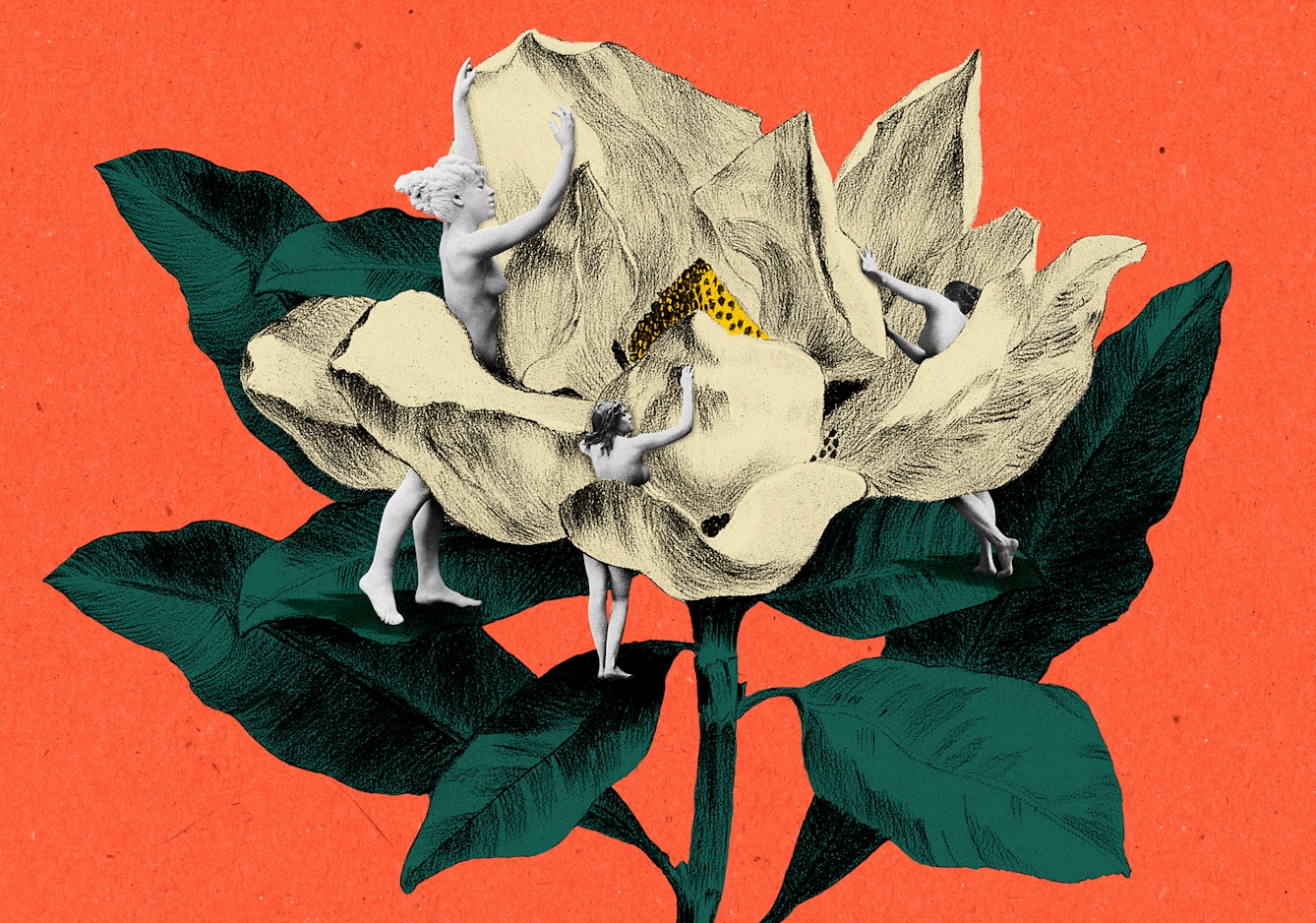 Mixed media collage of three naked women inspecting a large white flower.  The image has been created using a mix of assets and uses white, yellow, red and green tones, sitting on a blood orange background.