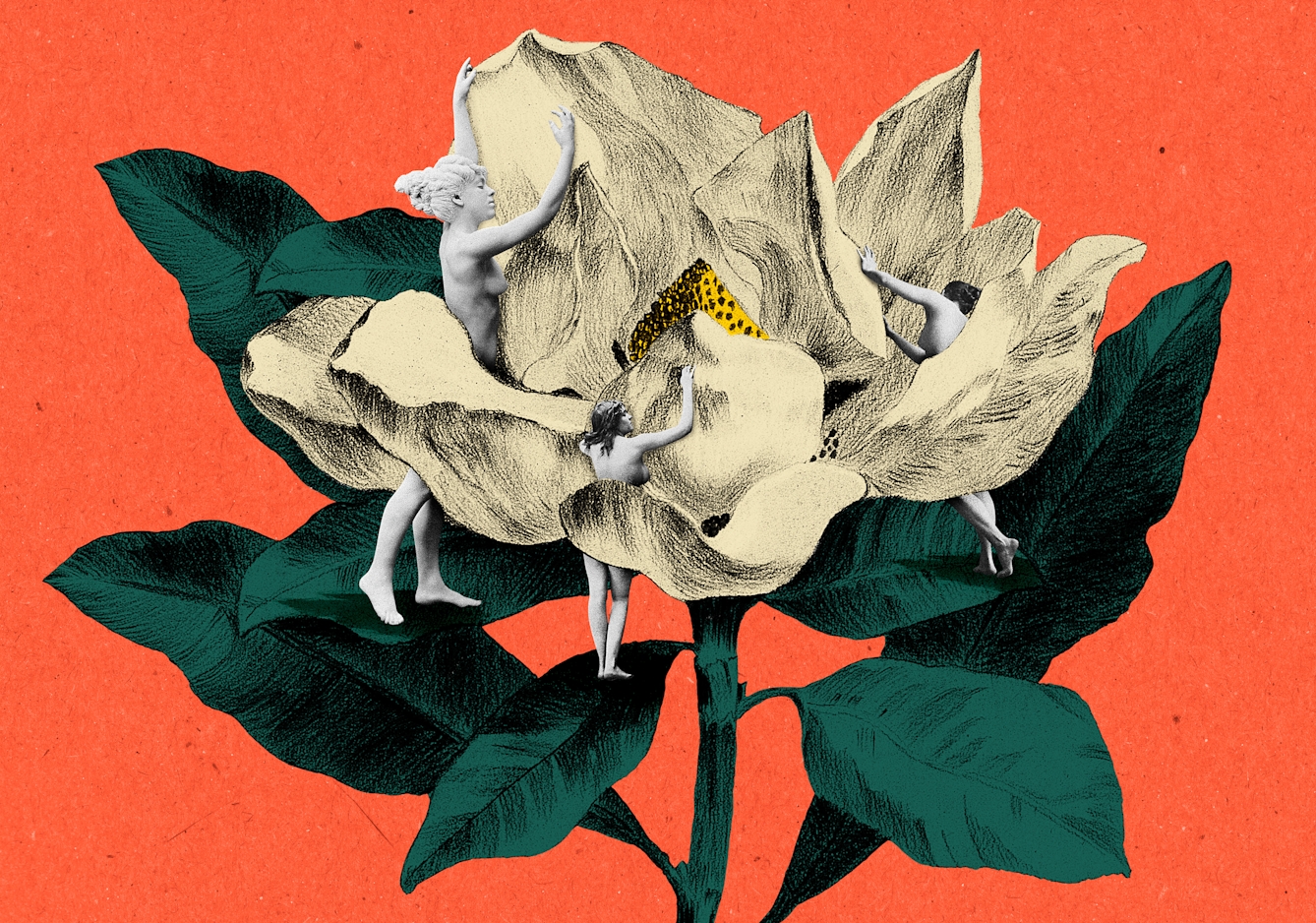 Mixed media collage of three naked women inspecting a large white flower. The image has been created using a mix of assets and uses white, yellow, red and green tones, sitting on a blood orange background.