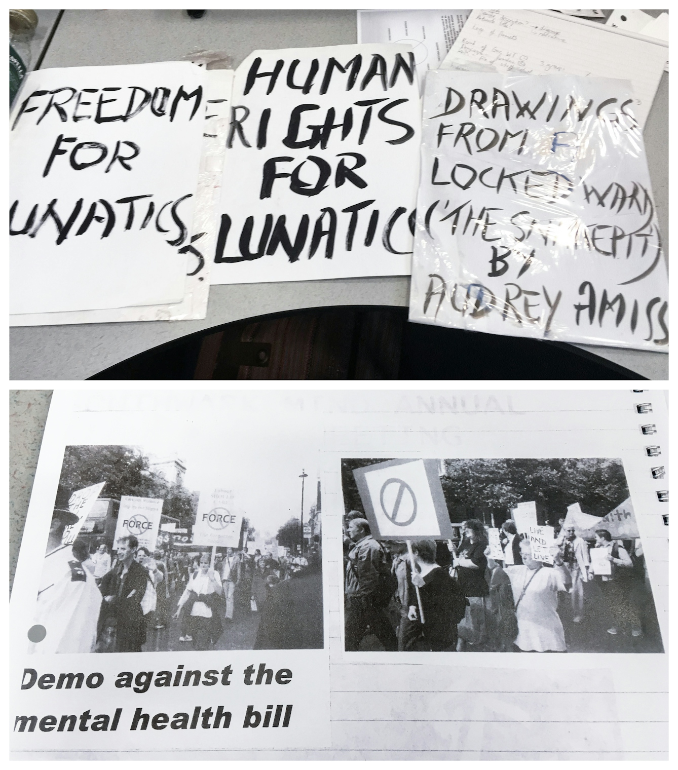 Photographic diptych. The image on the top shows 3 handmade protest banners laid out on an office desk. One reads, 'freedom for lunatics' another, 'human rights for lunatics' and the 3rd, 'Drawing from locked ward ('the snakepit') by Audrey Amis. The image on the bottom shows a scrapbook page with newspaper clippings. in the of the reports photos a woman in a white t-shirt can be seen holding two of the banners.