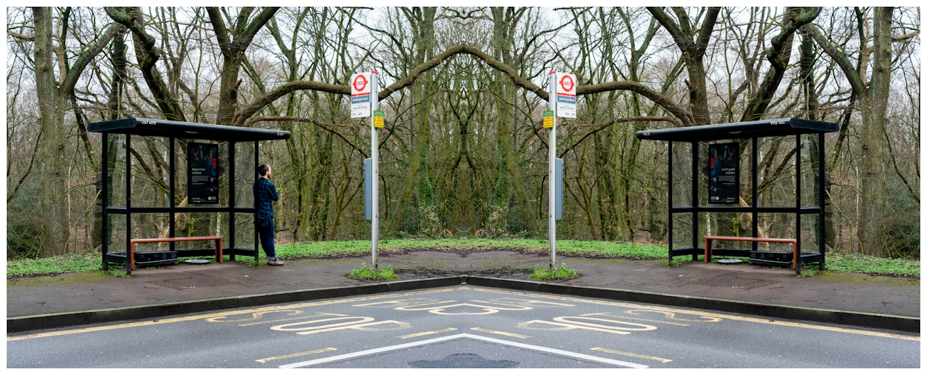 Photographic panorama showing a woodland scene with trees, a road and a bus stop with bus stop sign. The panorama is mirrored down it's vertical centre line except that a small human figure leaning against the bus stop appears in the left half, but not in the right half.