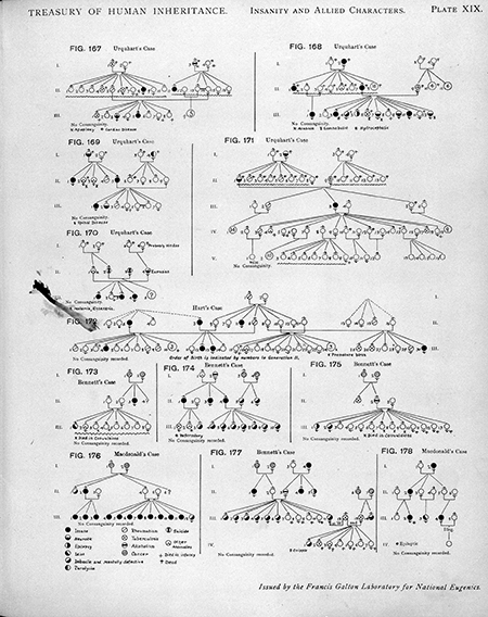 Schematic examples of different family trees showing inheritance for 'insanity and allied characters'