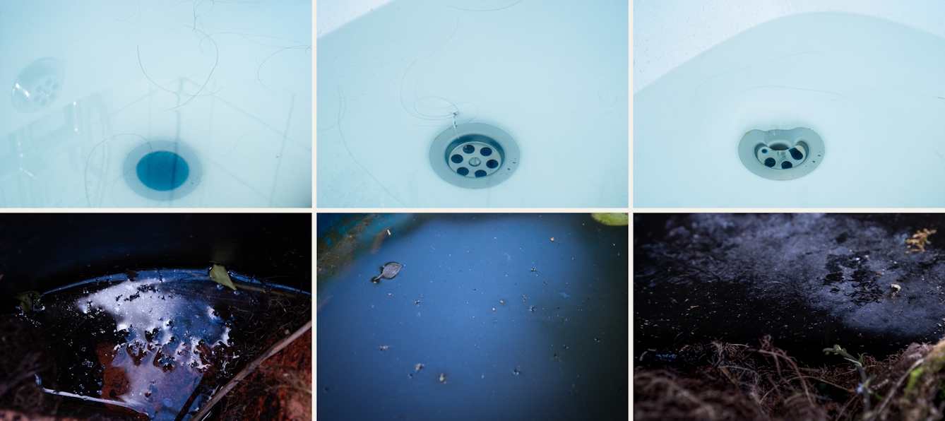 Photographic sextych made up of two rows of three images. The top row of images show close-up abstract images of a bathtub containing water and human hairs, soap and skin scum. The overall tone of the images is a light blue. Shadow lines and reflections cover the images. The bottom row of images show close-up scenes from nature, puddles, leaves, soil, roots, fungal growths and flower heads. The overall tones are blacks, blues and browns.
