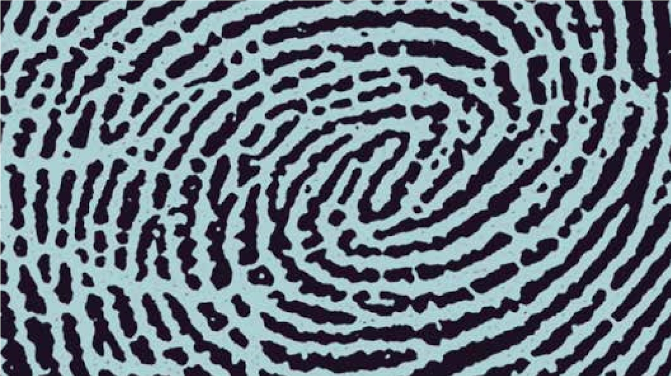 A very enlarged secton of a human fingerprint showing whorls and broken lines making up the pattern,