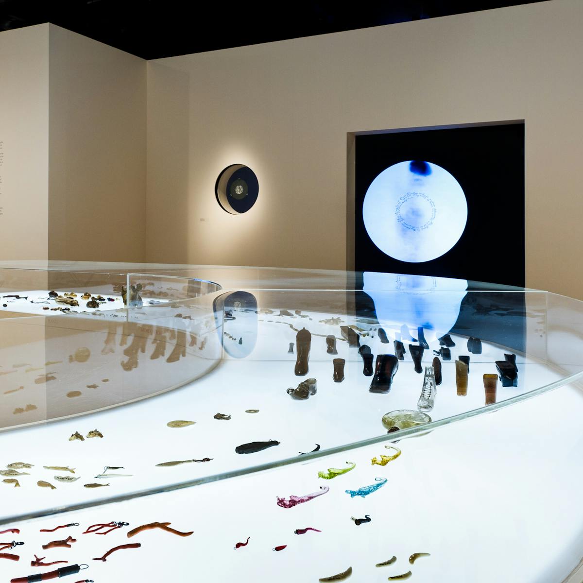 Photograph of an exhibition display case containing a selection of amulets, which formed part of the exhibition, Charmed Life: The Solace of Objects at Wellcome Collection.
