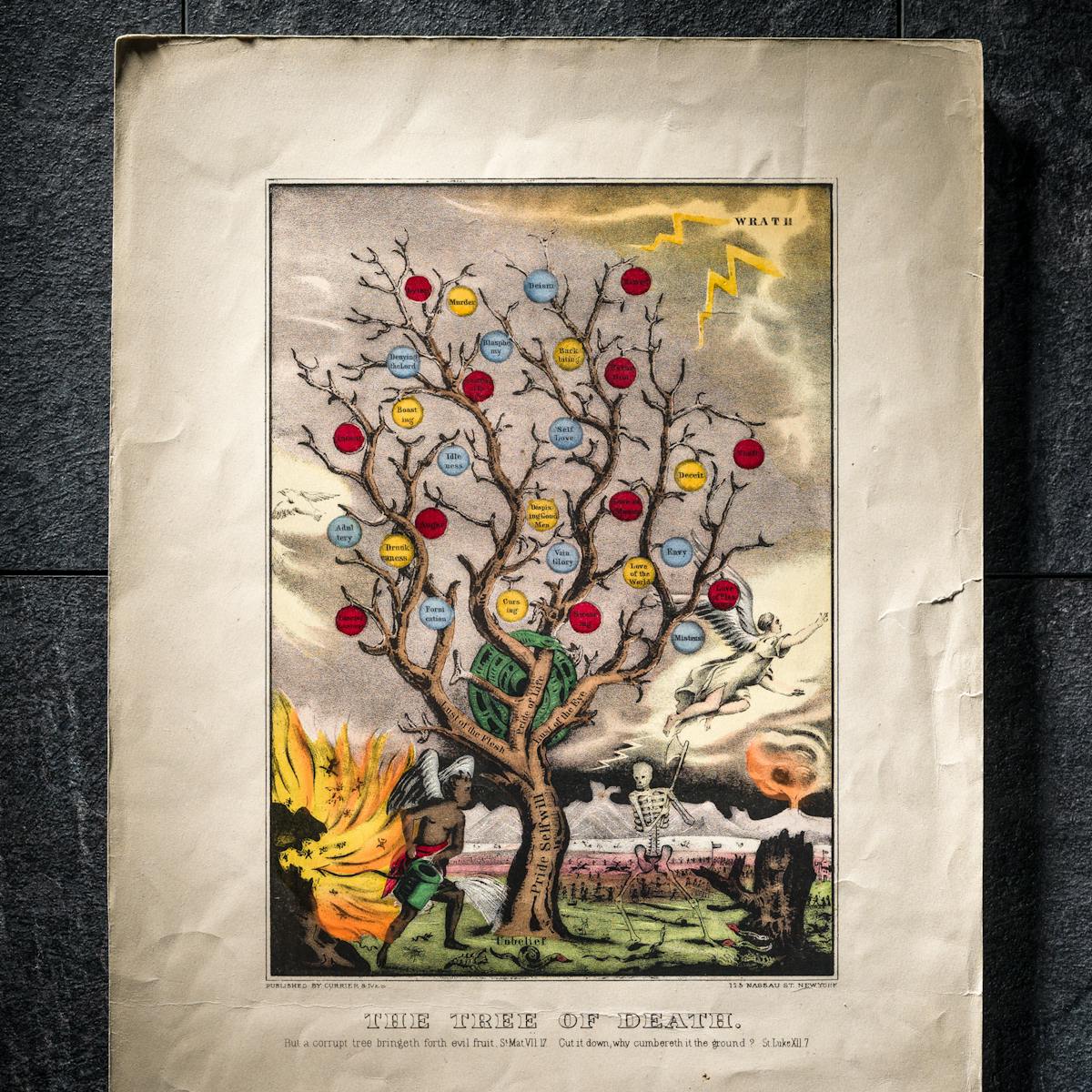 Photograph of a coloured lithograph showing a withered tree bearing apples labelled with sins; representing the life of sin c. 1870, after J. Bakewell.