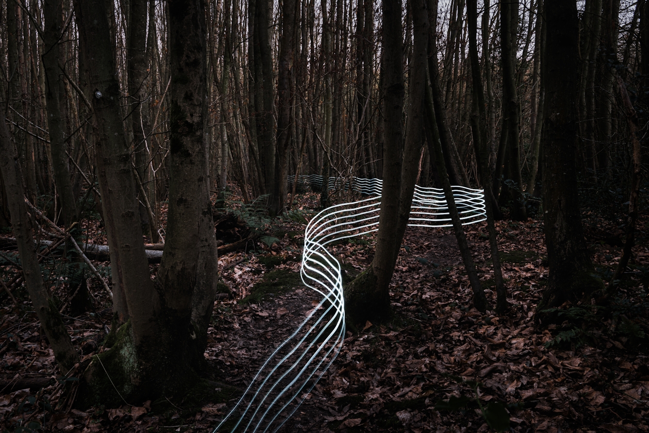 Photograph of a dark winter wooded scene with thin coppiced tree trunks rising from the ground. The earth is covered in rust coloured leaves. Through the trees a trail of 6 horizontal parallel white lines created with a light source snake through the scene, weaving in and out of the trees, sometimes following a footpath, sometimes not. Through the tree trunks in the distance, glimpses of a grey sky can be seen.