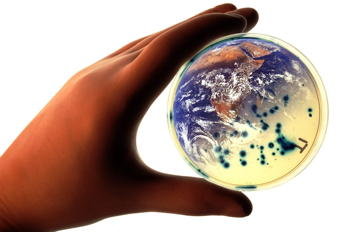 Image of hand holding a petri dish. Part of the circle resembles a world globe, the other half has dark blob-like growths of bacteria.