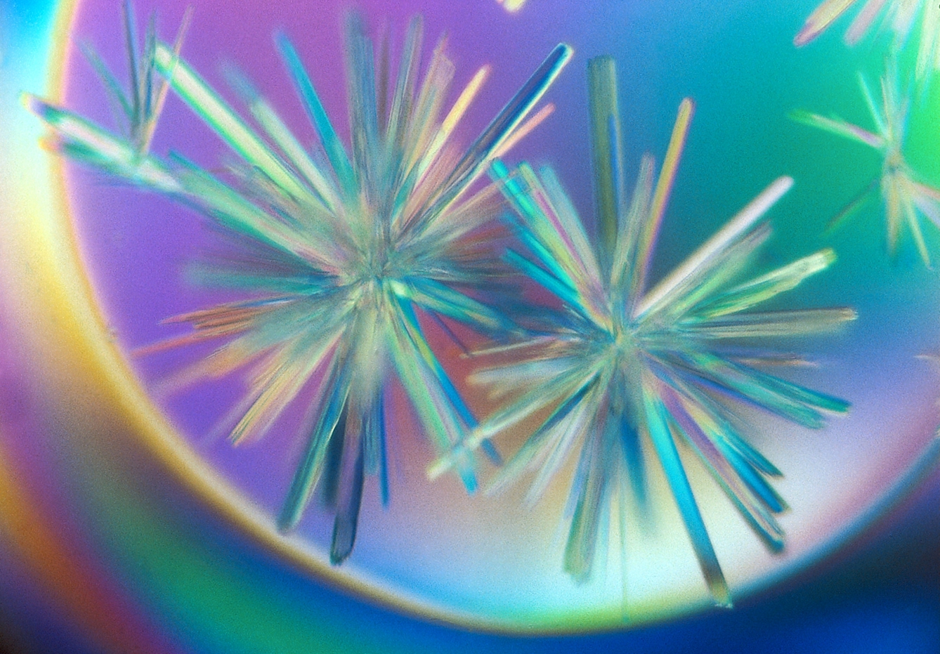 An image generated by a process called X-ray crystallography, the image shows a spiked crystalline formation which appears backlit with multicoloured light.
