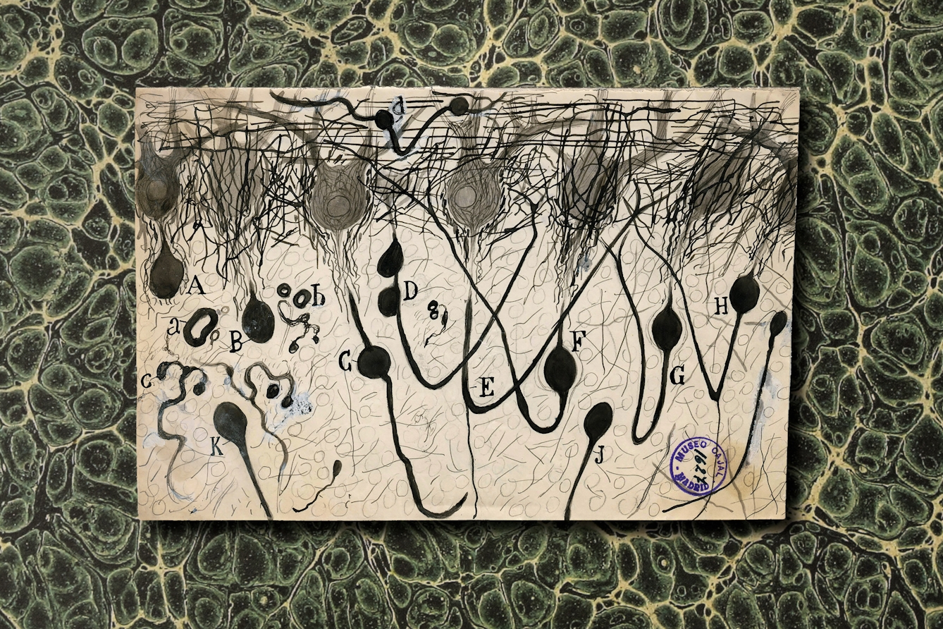 A illustration of brain neurons and neural pathways. These are drawn with lines of pencil, black pen and heavy black markers. The illustration is against a green and yellow cellular looking marbled background.