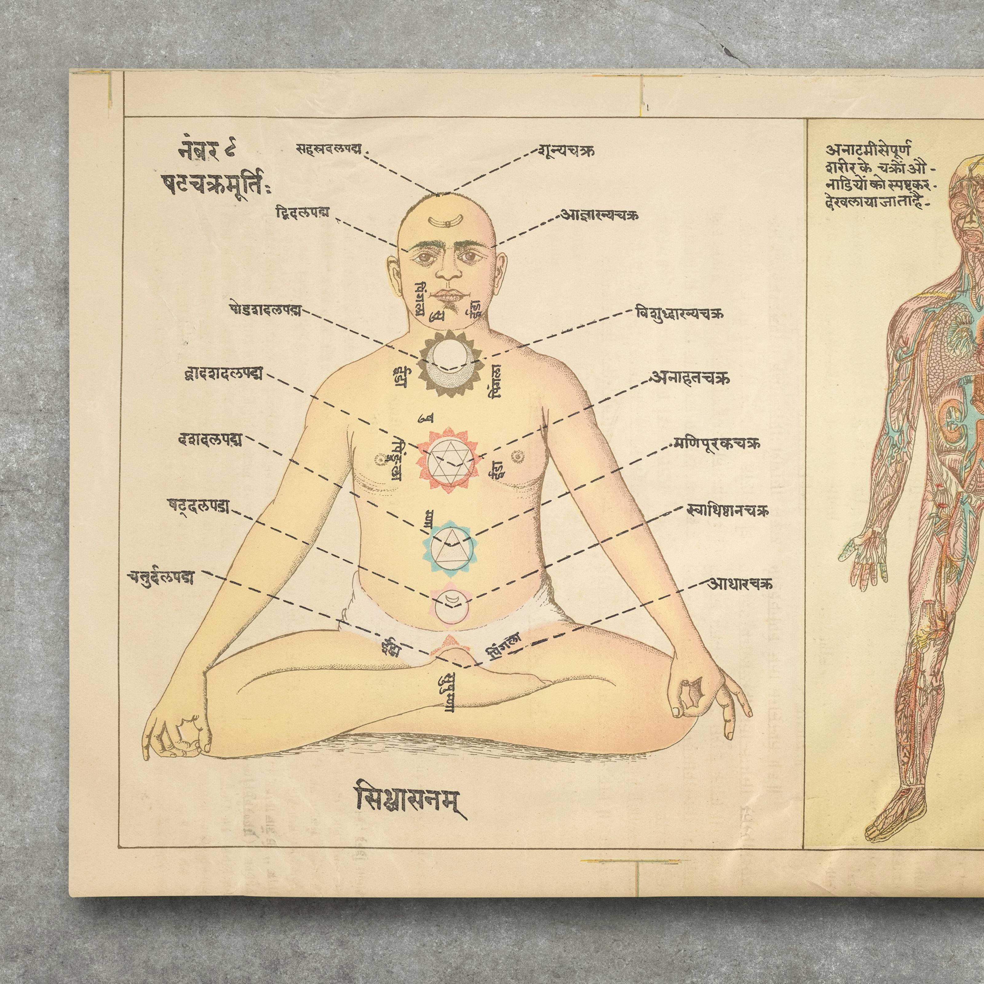 Two illustrations on yellowed paper. The illustration on the left shows a yogi sat cross-legged in a meditative pose looking straight ahead. There are a number of different-coloured symbols in a vertical line extending up the yogi's torso. There are dotted lines leading out of the symbols with Sanskrit writing at the end of the lines. The illustration on the right shows an anatomical illustration of the inside of a human body, with veins and organs depicted. 