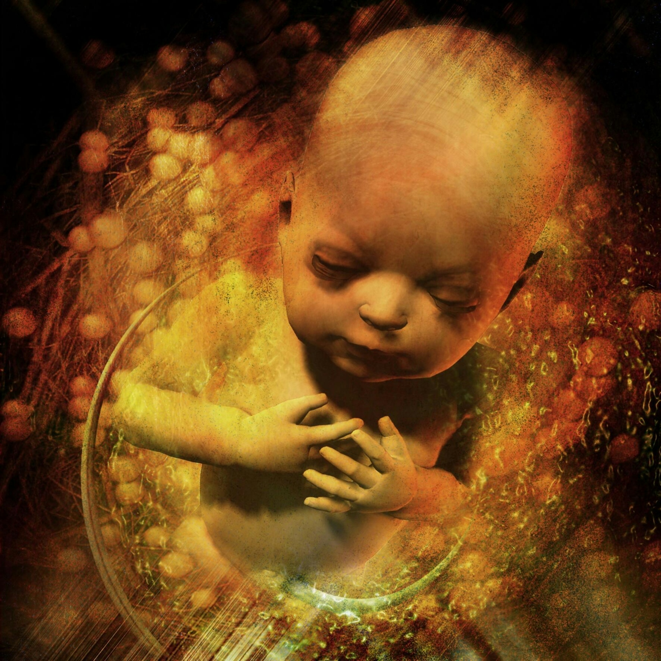 Colour illustration of a baby in the womb. The head, shoulders and chest of the baby is visible, and it is surrounded by swirling abstract patterns. The baby has its eyes closed and its arms crossed in front of it, with its hands resting lightly on its chest. 