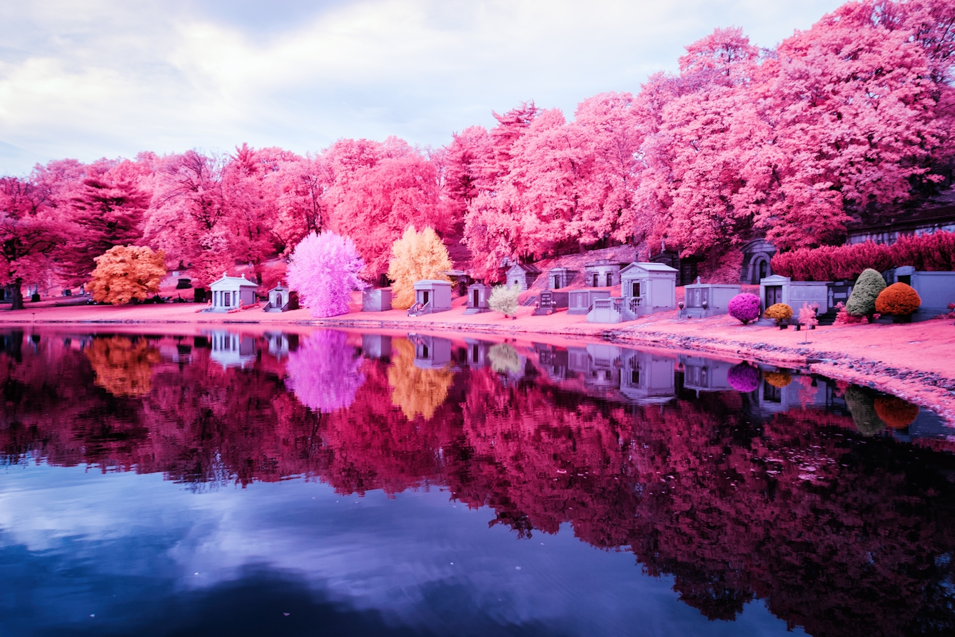 Infrared photograph of a graveyard overlooking a lake. A series of crypts are reflected in the lake, surrounded by pink trees. The pink hues replacing the greens of the grass and trees are a result of the infrared technique.