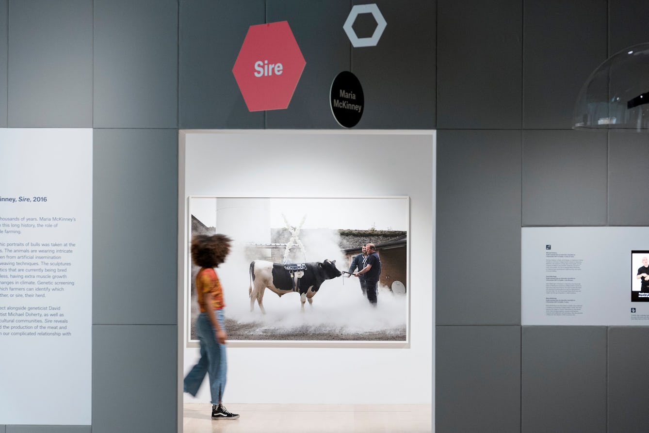 Image of a view through the Somewhere in Between exhibition. Interpretation is provided in a range of formats: large section titles appear as mobiles hanging from the ceiling; wall texts are positioned alongside recorded audio provided through a ceiling mounted speaker and recorded BSL provided on a wall mounted screen.