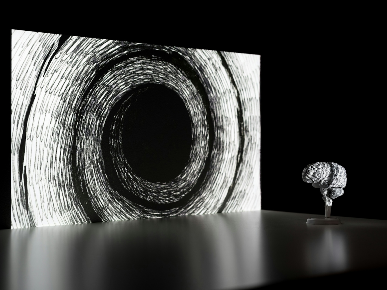 Photograph of a dark corner of a room. On the wall is a projected monotone illustration of a whorl with a black circle at the centre. In front of the projected image is a flat tabletop which shows a slight reflection of the illustration. Standing on the table to the right is a small model of a brain, resting on a stand. Part of the projected image washes across the surface of the brain, covering it in the image.