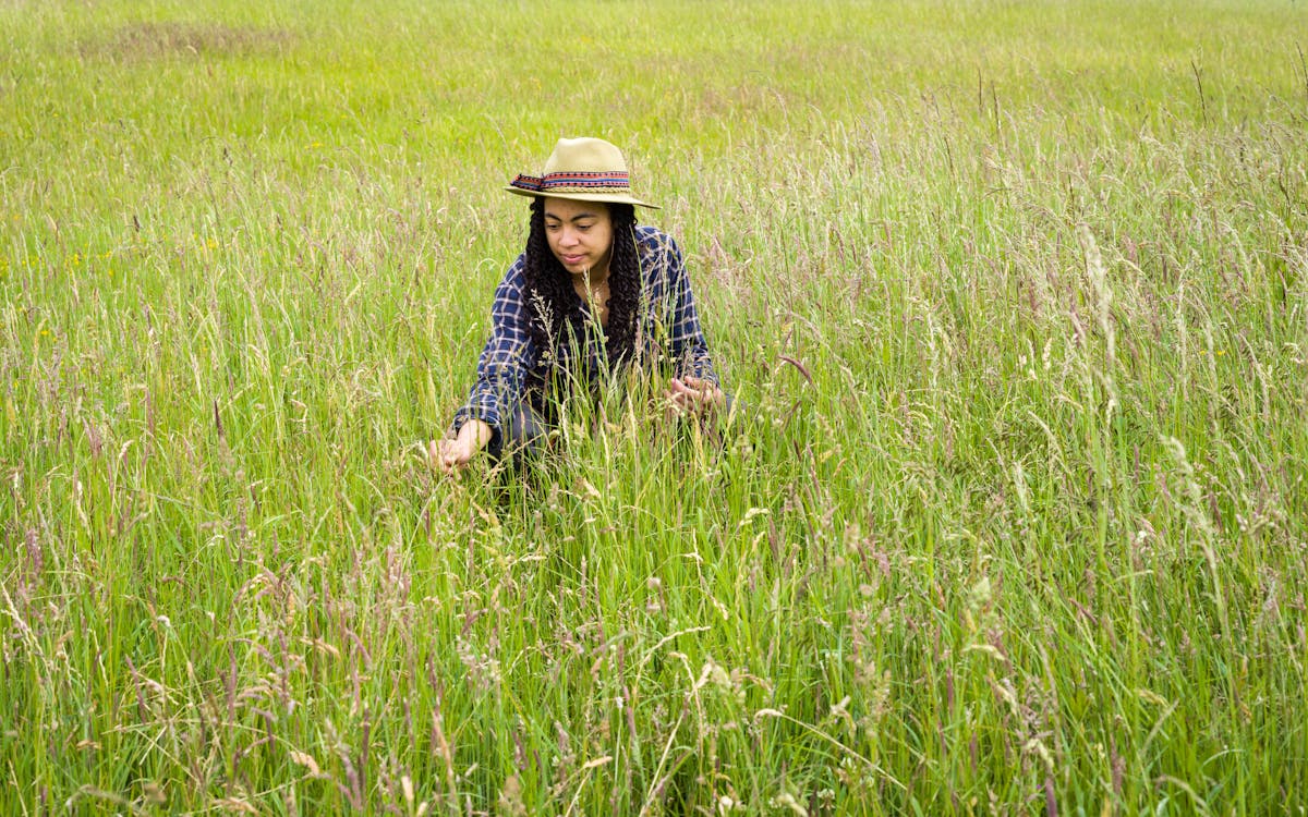 Colour photograph of a young woman wearing a brimmed hat and checked blue shirt crouching down in a wild grassland meadow. She is looking down into the grasses, reaching out with her right hand to gently examine some of the grass stems. The grasses surround her, making her into an island within a sea of grasses.