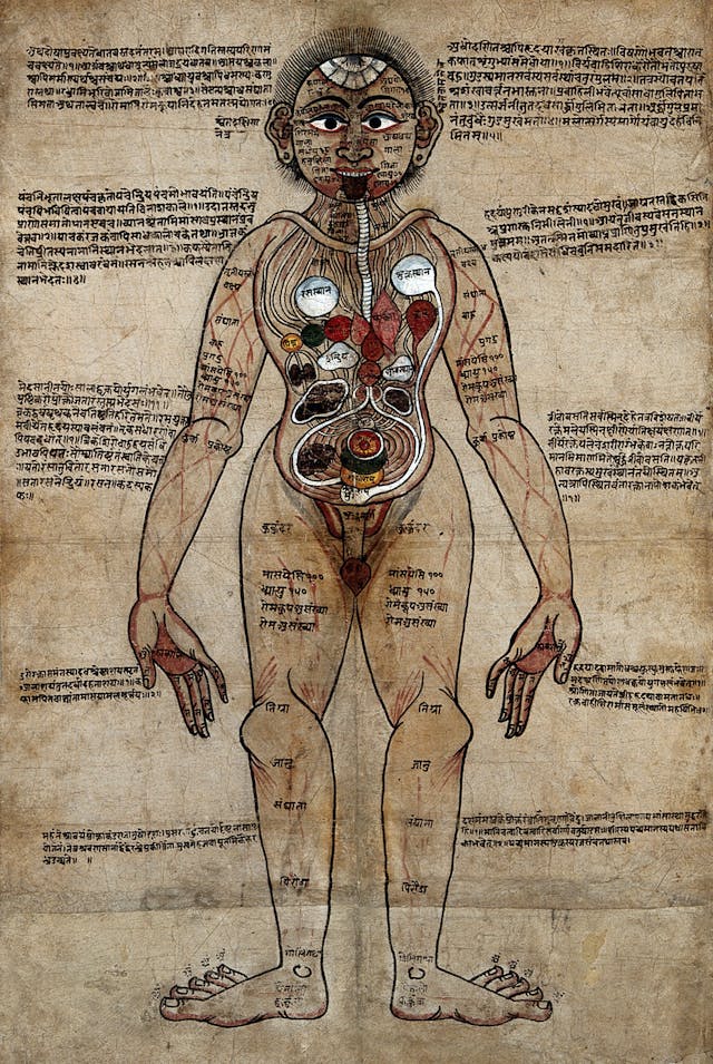 mapping-the-body-wellcome-collection