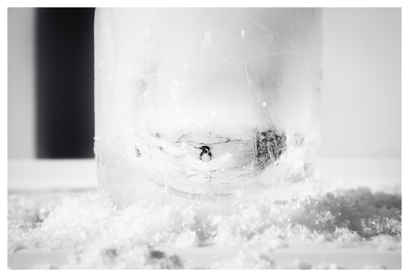 Monotone photograph showing a cylindrical core of frozen water. Encased within the ice is an illustration of a penguin from the 1800s, that can just be seen through the distortions of the ice wall and opaque frosting. The ice core is standing vertically on a fridge freezer shelf, surrounded by a piles of light frosted snow.