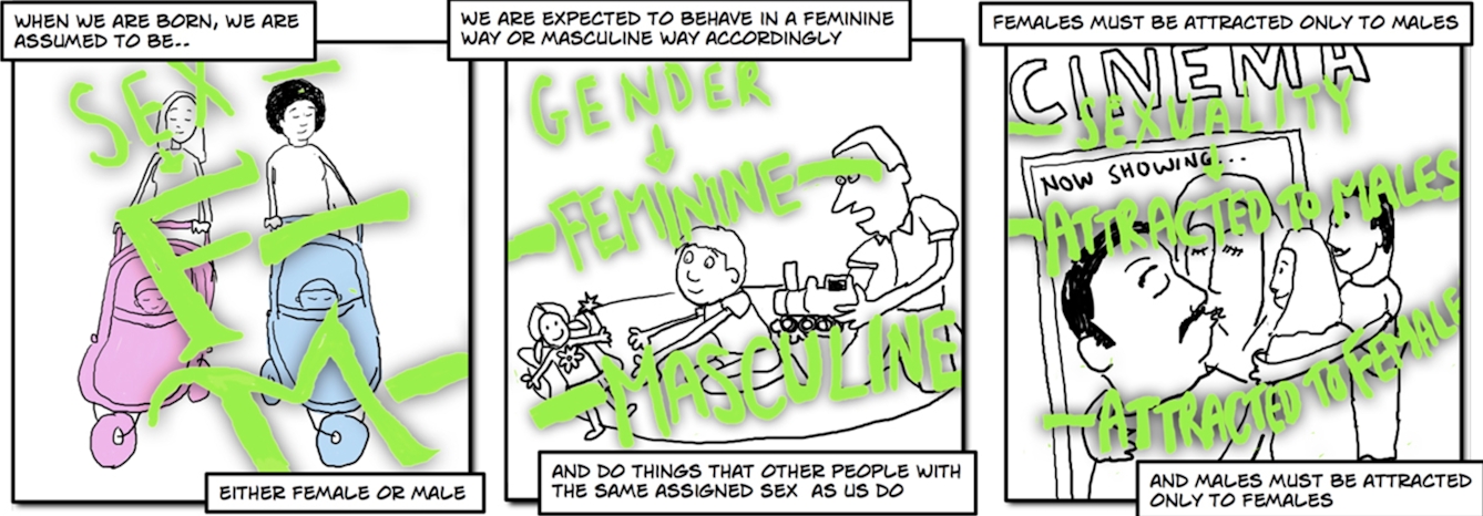 Image 1: When we are born, we are assumed to be either male or female. Image 2: We are expected to behave in a feminine way or masculine way accordingly. And do things that other people with the same assigned sex as us do. Image 3: Females must be attracted only to males and males must be attracted only to females.