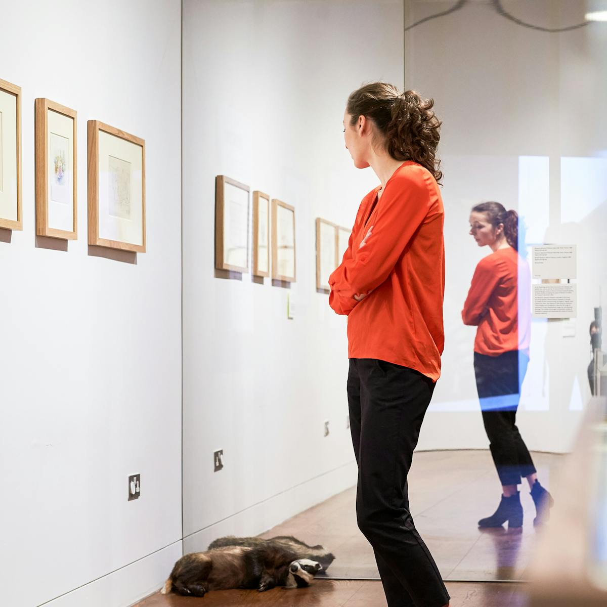 Photograph of a young woman exploring the exhibition, Making Nature, at Wellcome Collection.